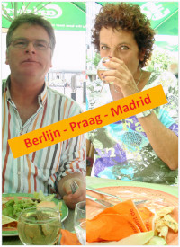 cover driestedenboek