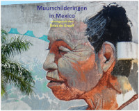 cover straatkunst in Mexico