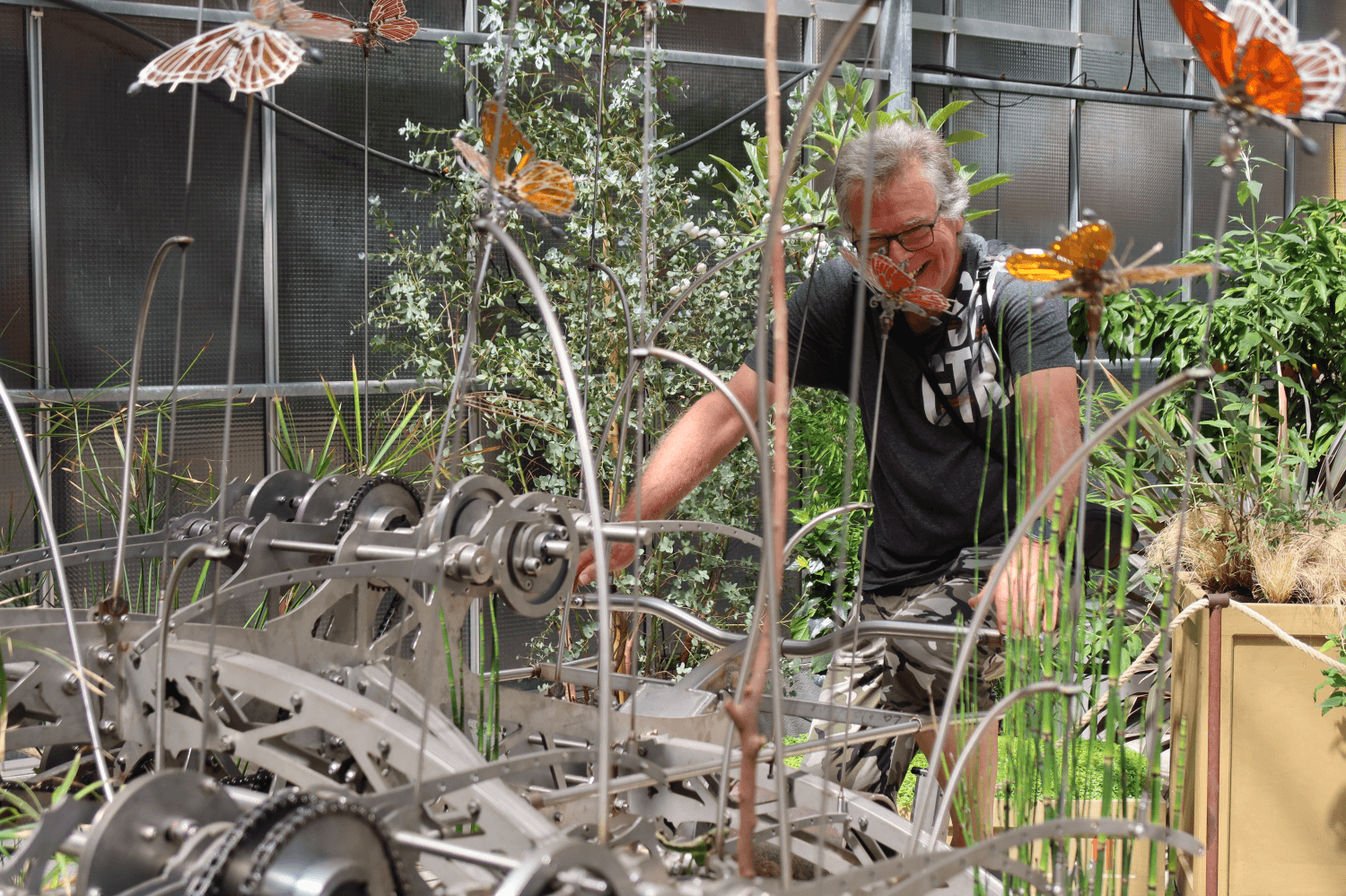 Dries aan het werk met de monarchvlinders in Nantes