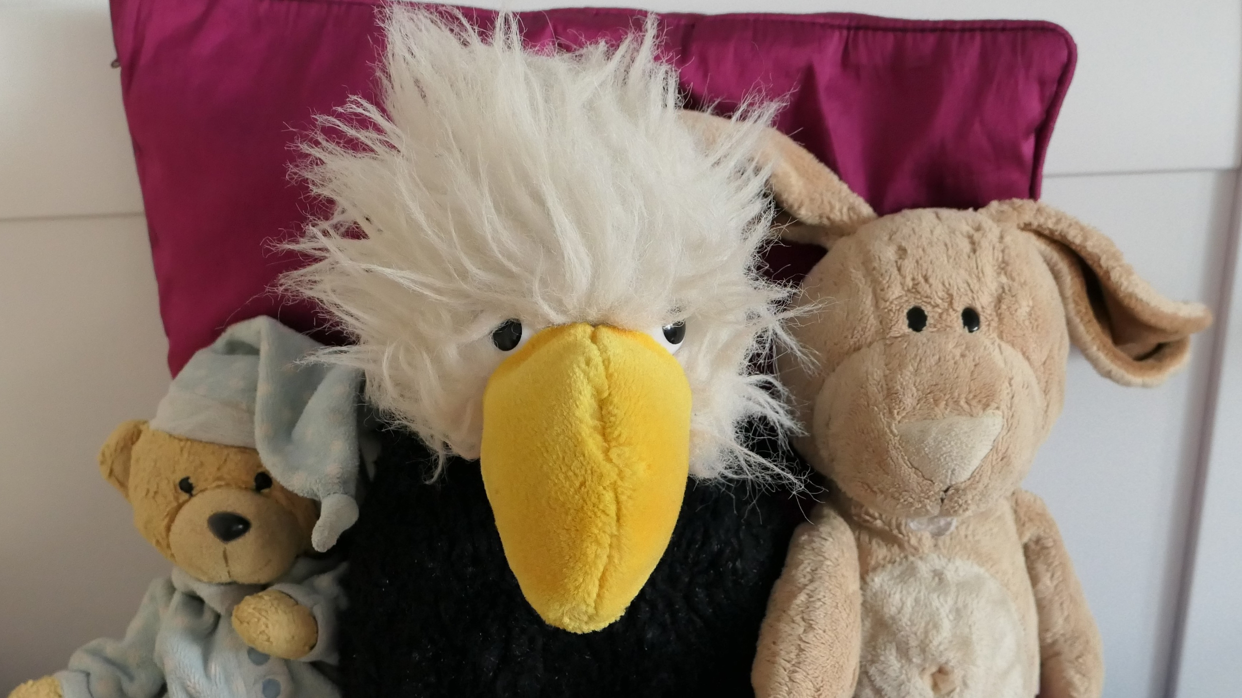 footo van drie knuffels van 3s