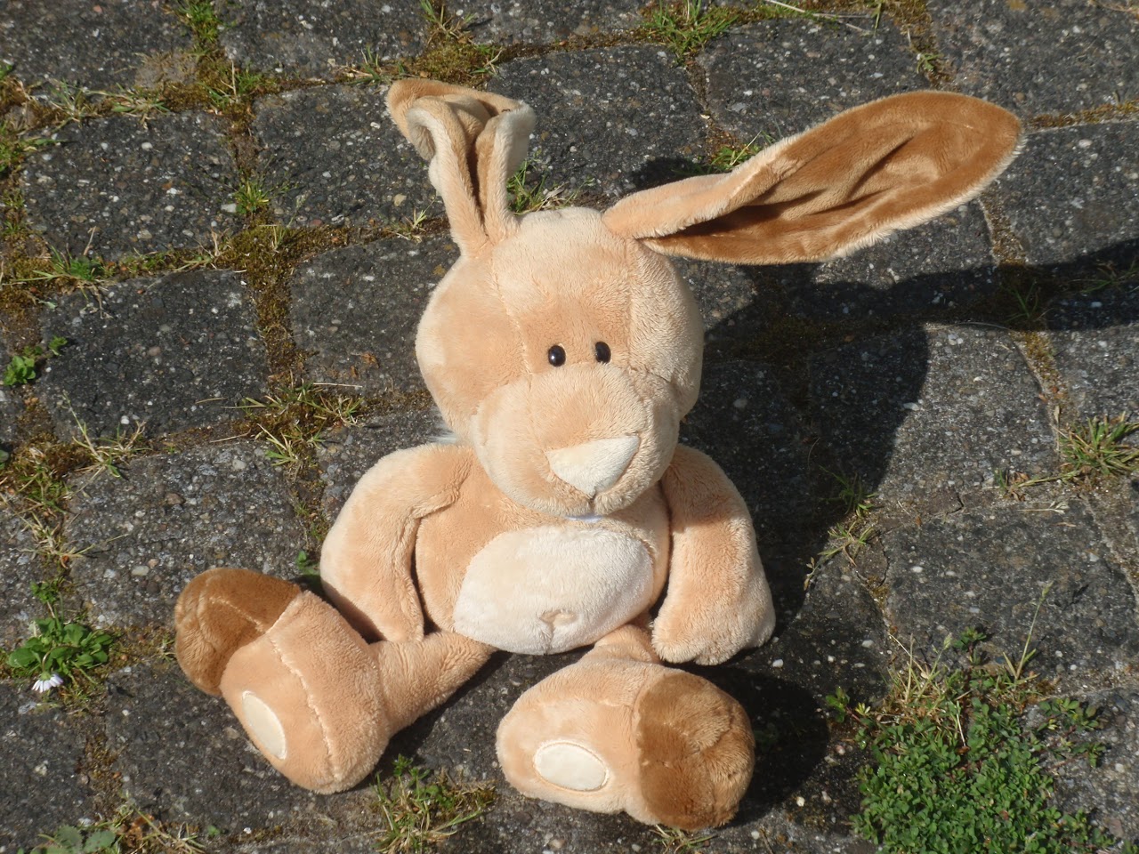 foto van een knuffel met lange oren